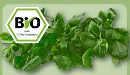 REWE Rewe Bio Feldsalat Angebot