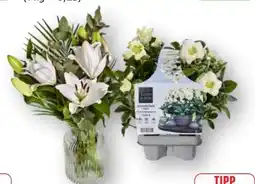 Edeka Floristen-Strauß Premium Angebot