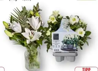 Edeka Floristen-Strauß Premium Angebot