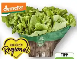 Edeka Unsere Heimat Echt & Gut Bio-Endivien Angebot