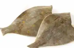 Edeka Scholle Angebot