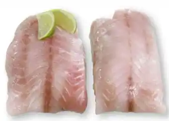 Scheck-in-Center Viktoriaseebarschfilets Angebot