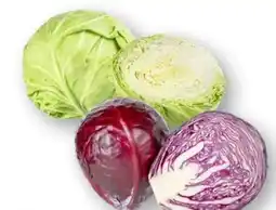 Scheck-in-Center Rotkraut Angebot