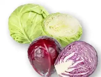 Scheck-in-Center Rotkraut Angebot