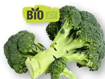 Scheck-in-Center Bio Brokkoli Angebot