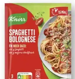 Scheck-in-Center Knorr Fix Spaghetti Bolognese Angebot