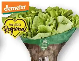 Scheck-in-Center Unsere Heimat Echt & Gut Bio-Endivien Angebot