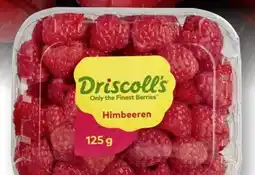 Scheck-in-Center Driscoll's Himbeeren Angebot