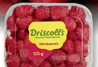 Scheck-in-Center Driscoll's Himbeeren Angebot