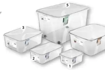 Scheck-in-Center Rotho Aufbewahrungsbox Angebot