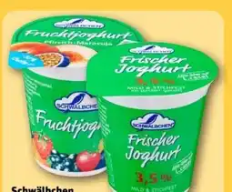 REWE Center Schwälbchen Frischer Joghurt Angebot