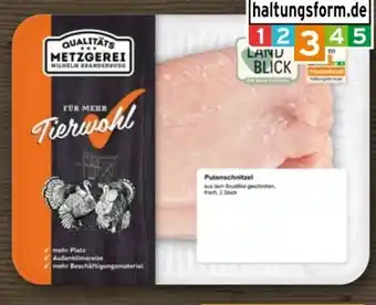 REWE Metzgerei Wilhelm Brandenburg Puten-Schnitzel Angebot