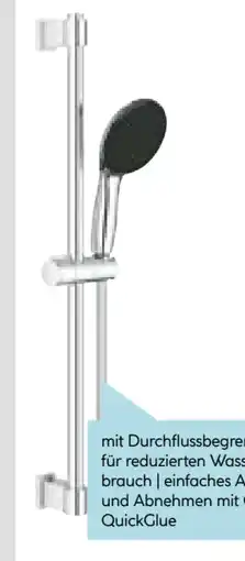 Hellweg Grohe Brausestangenset Vitalio Start 110 Angebot