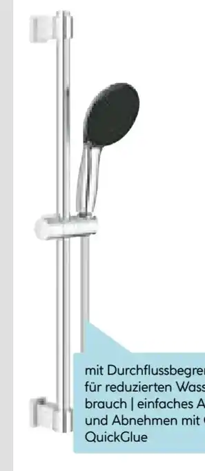 Hellweg Grohe Brausestangenset Vitalio Start 110 Angebot