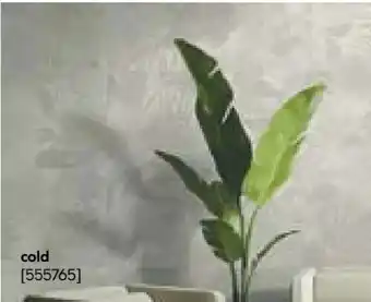 Hellweg Feinsteinzeug Tropical Angebot