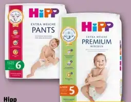 REWE HiPP Pants Extra Large Angebot