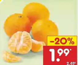 Netto Marken-Discount MarktTag Clementinen Angebot