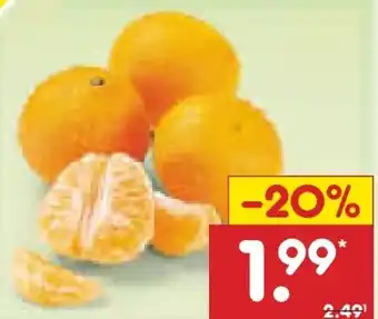 Netto Marken-Discount MarktTag Clementinen Angebot