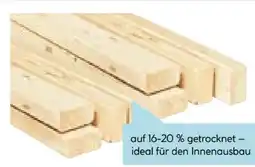 Hellweg Unterkonstruktionslatte Angebot