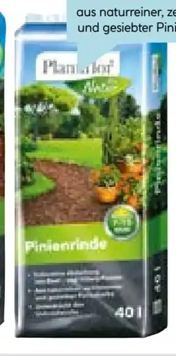 Hellweg Plantiflor Pinienrinde Angebot