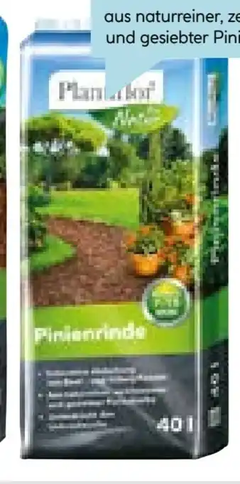 Hellweg Plantiflor Pinienrinde Angebot
