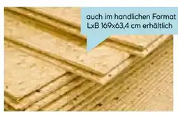 Hellweg OSB 3 EN 300-Verlegeplatte Angebot