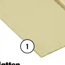 Hellweg Sperrholzplatte Pappel Angebot