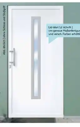 Hellweg Kunststoff-Haustür Signum PVC Mod. 70 Angebot