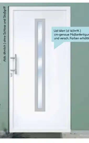 Hellweg Kunststoff-Haustür Signum PVC Mod. 70 Angebot