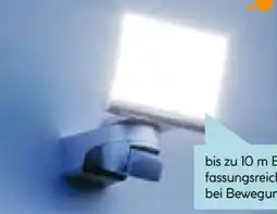 Hellweg Steinel Sensor-LED-Strahler XLED Home 2 Angebot