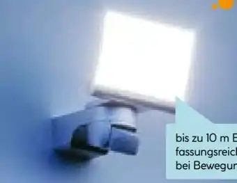 Hellweg Steinel Sensor-LED-Strahler XLED Home 2 Angebot