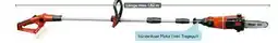 Hellweg Einhell Akku-Teleskop-Hochentaster GE-LC 18 Angebot