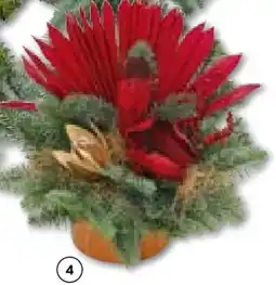 Hellweg Deko Grabschale Angebot