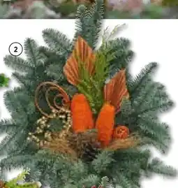 Hellweg Grabschalen Angebot