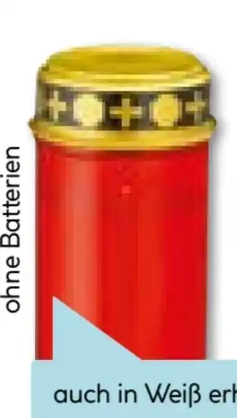 Hellweg LED-Grablicht Angebot