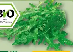 REWE Rewe Bio Bio-Rucola Angebot