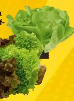 EDEKA Bandelt Edeka Herzstücke Ballensalat Mix Angebot