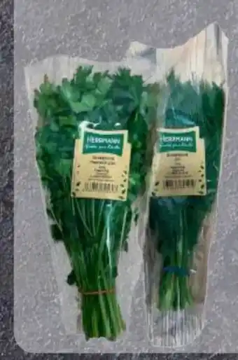 Edeka Kräuterbunde Dill XXL Angebot
