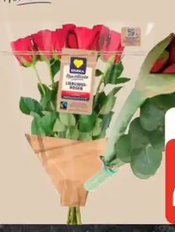 Edeka Edeka Herzstücke Rosen Angebot