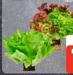Edeka Edeka Herzstücke Ballensalat Mix Angebot