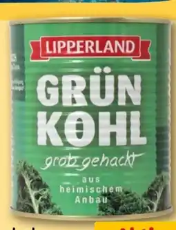REWE Center Lipperland Grünkohl Angebot