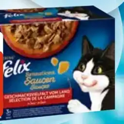 Edeka Purina Felix Katzen-Nassnahrung Angebot