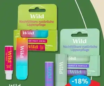 Budni Wild Lippenpflege Angebot