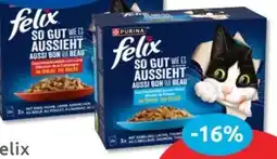 Budni Purina Felix Katzennahrung Angebot