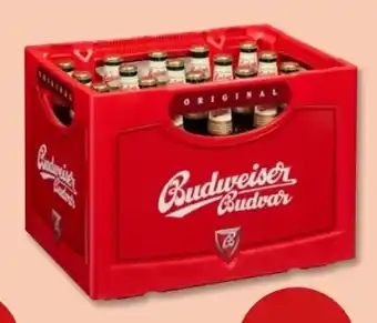 PENNY Budweiser Budvar (CZ) Czech Premium Lager Angebot