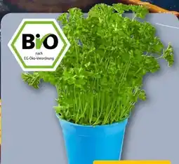 REWE Rewe Bio Petersilie glatt & kraus Angebot