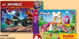 REWE LEGO Friends 42665 Angebot