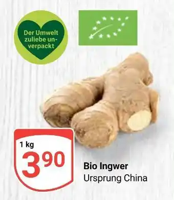 Globus Bio ingwer Angebot