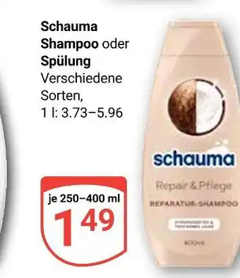 Globus Schauma shampoo Angebot