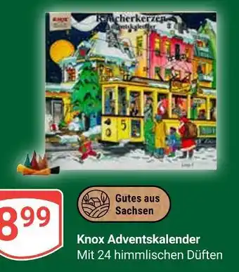 Globus Knox adventskalender Angebot